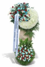 Distinguished Tribute