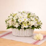 White Haven Sympathy