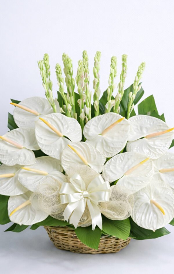 Quiet Honour Offering