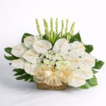 Silent Peace Sympathy