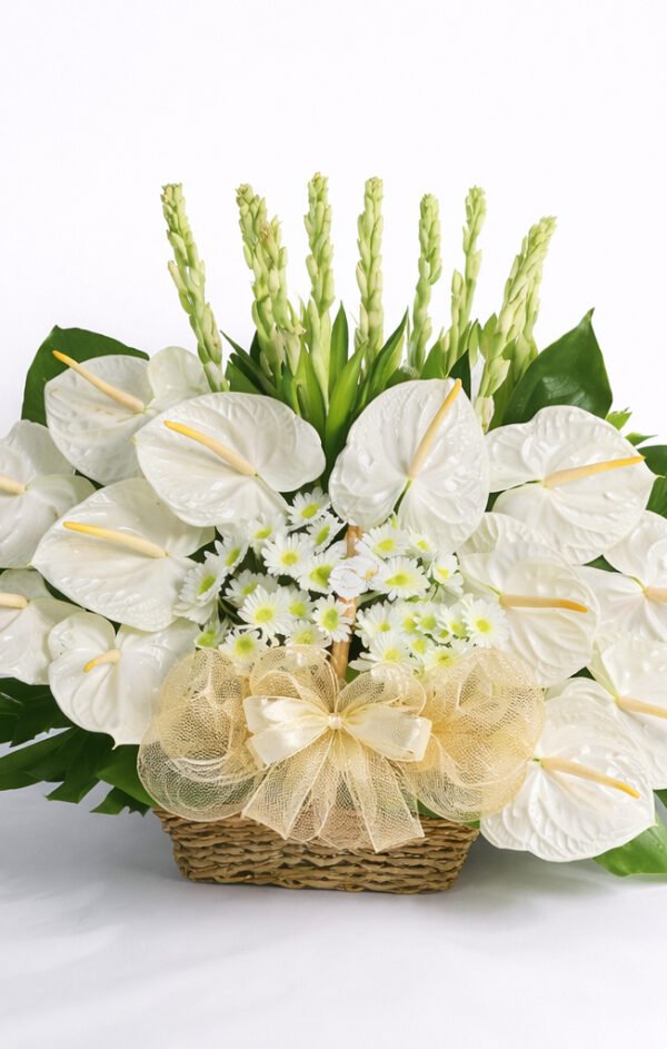 Silent Peace Sympathy