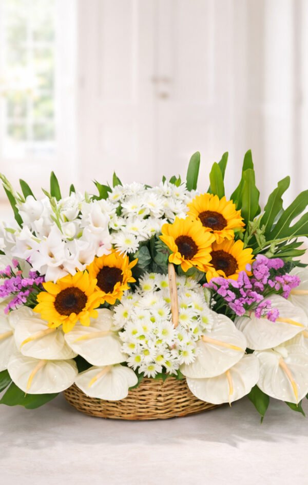 Sunlit Comfort Tribute