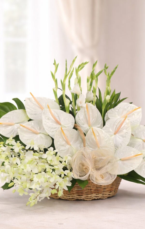 Serene White Remembrance