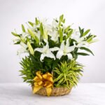 Serene Lily Farewell