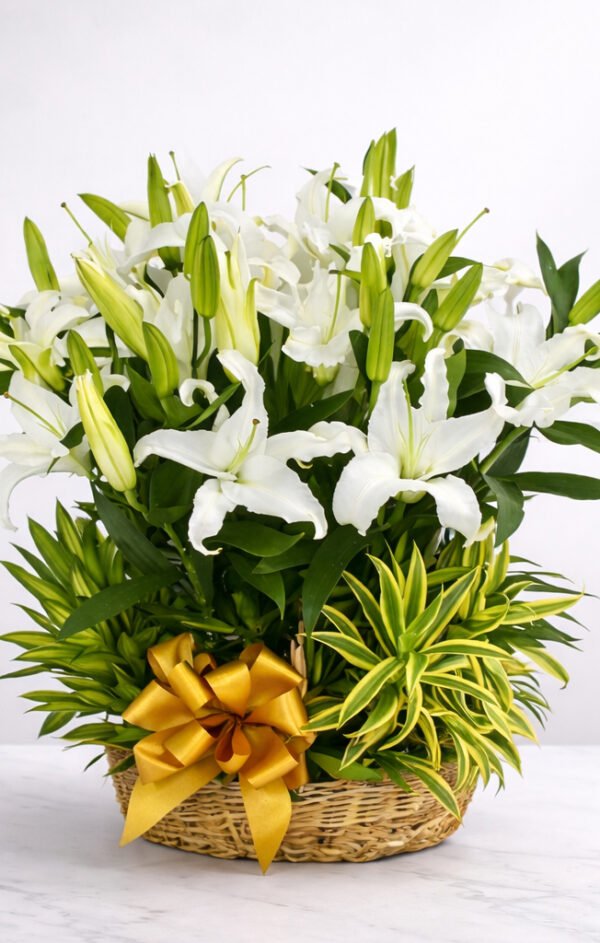 Serene Lily Farewell